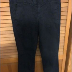 J crew andie pants. Washed and hanged dry once